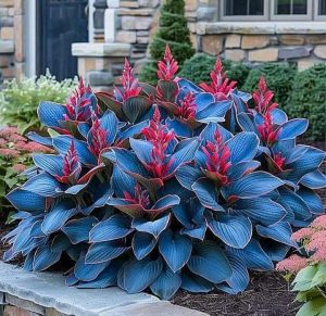 Хоста Грин Фог купить по цене от 669р. в интернет-магазине «Посадика» с доставкой почтой в в Петропавловск-Камчатскийе и по всей России – [изображение №1].