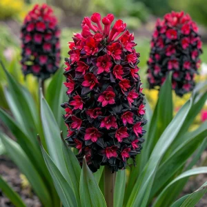 Гиацинт Джем Стоун купить по цене от 2099р. в интернет-магазине «Посадика» с доставкой почтой в в Петропавловск-Камчатскийе и по всей России – [изображение №1].