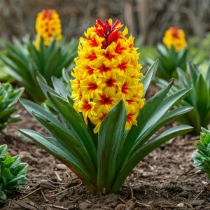 Гиацинт Скай Блюм купить по цене от 2099р. в интернет-магазине «Посадика» с доставкой почтой в в Петропавловск-Камчатскийе и по всей России – [изображение №1].