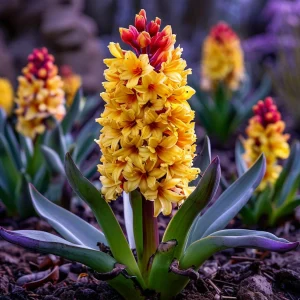 Гиацинт Миднайт Мистери купить по цене от 2099р. в интернет-магазине «Посадика» с доставкой почтой в в Петропавловск-Камчатскийе и по всей России – [изображение №1].